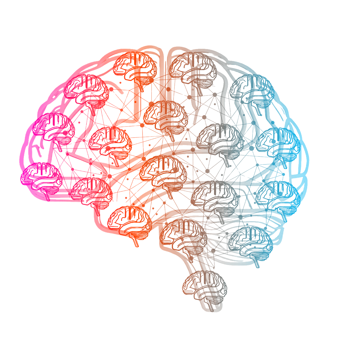 DBrains Logo